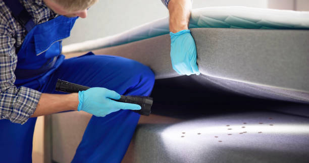 Best Bed Bug Extermination  in Pottsville, AR
