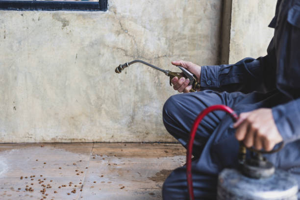 Reliable Pottsville, AR Pest Control Solutions